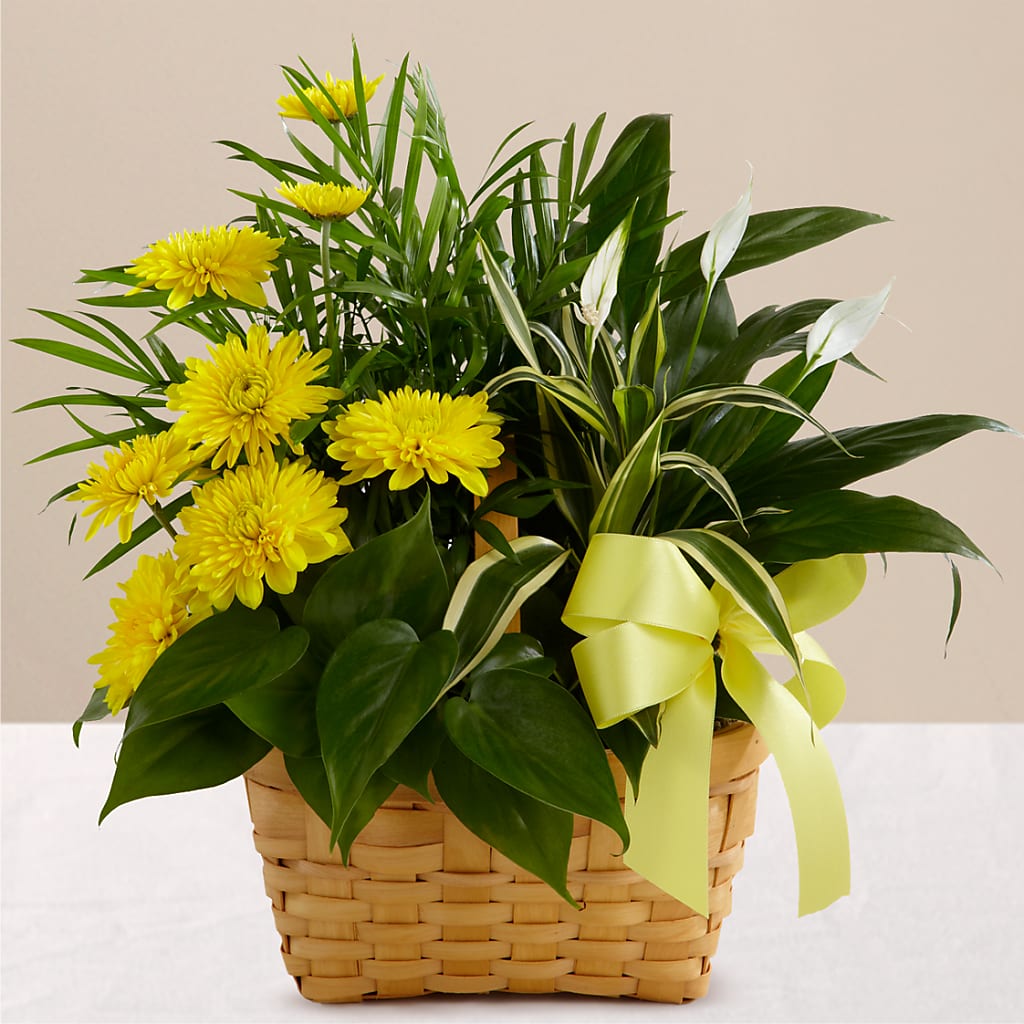 Loving Light Dishgarden – A Little Bit Of Love, Hanover PA