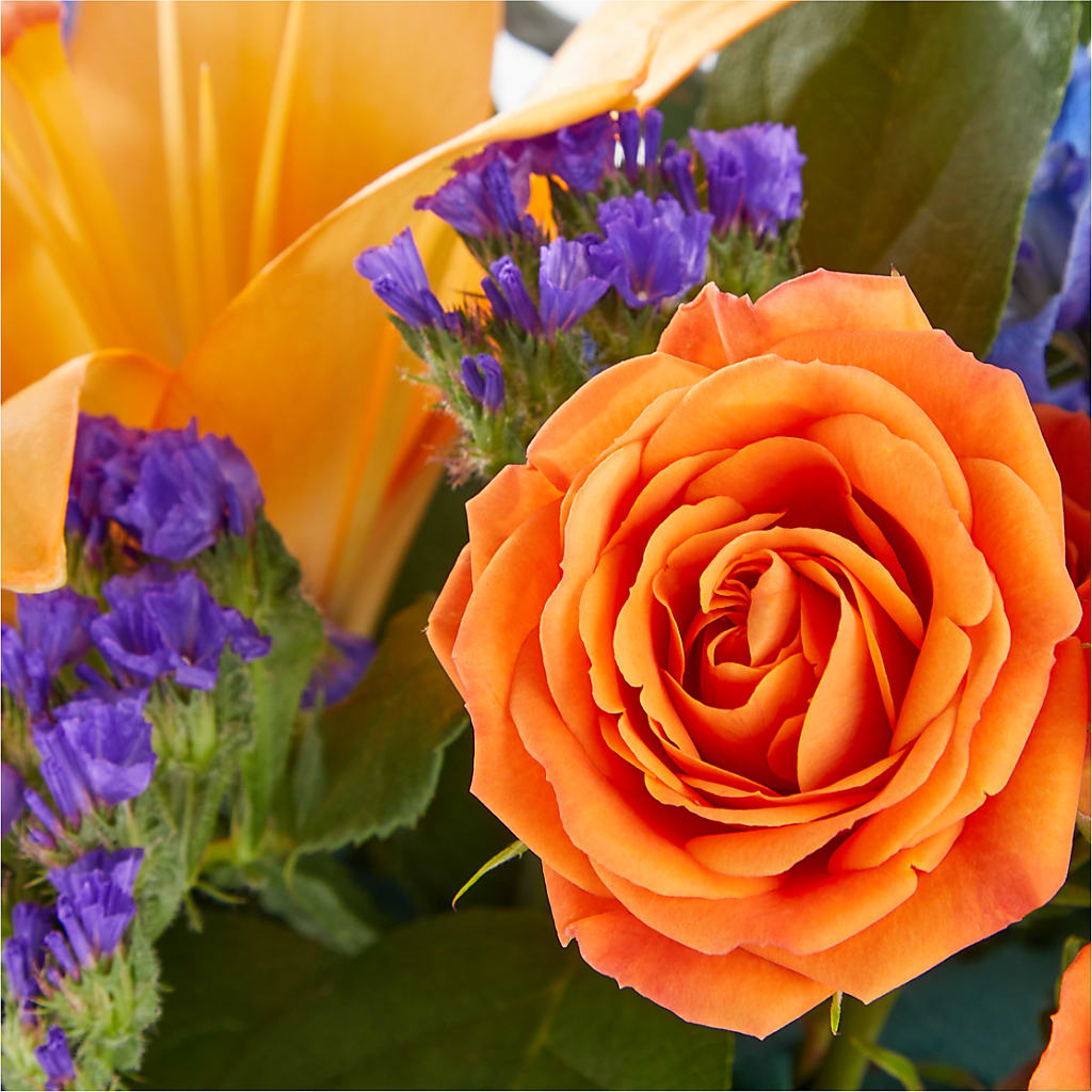Radiant Citrus Box Bouquet – A Little Bit Of Love, Hanover PA
