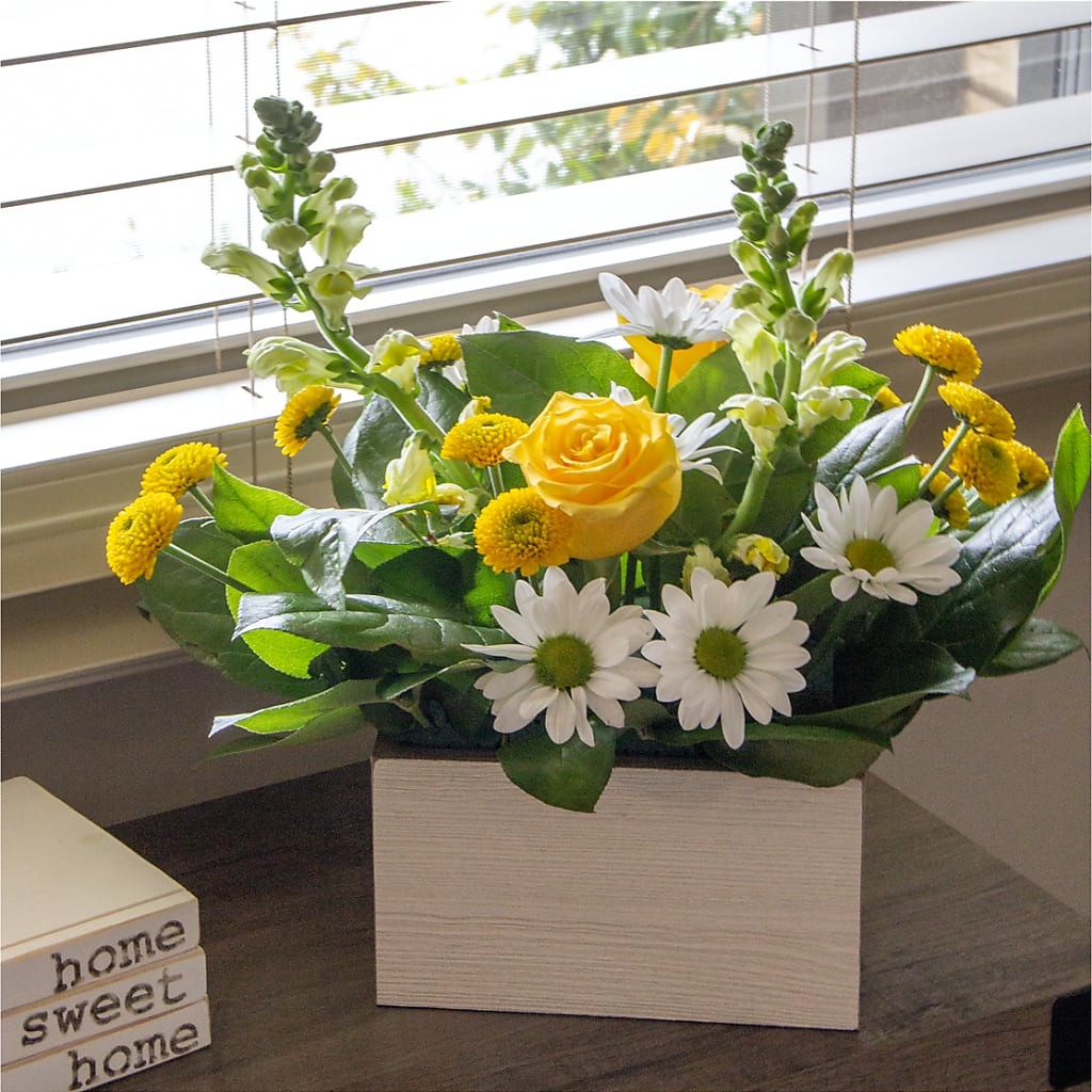 Sun Salutation Box Bouquet – A Little Bit Of Love, Hanover PA