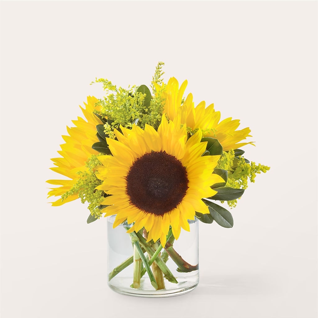 Beaming Sunflower Bouquet – A Little Bit Of Love, Hanover PA