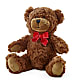 Adorable Plush Bear –  A Little Bit Of Love, Hanover PA