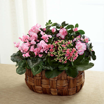 Pink Assortment –  A Little Bit Of Love, Hanover PA