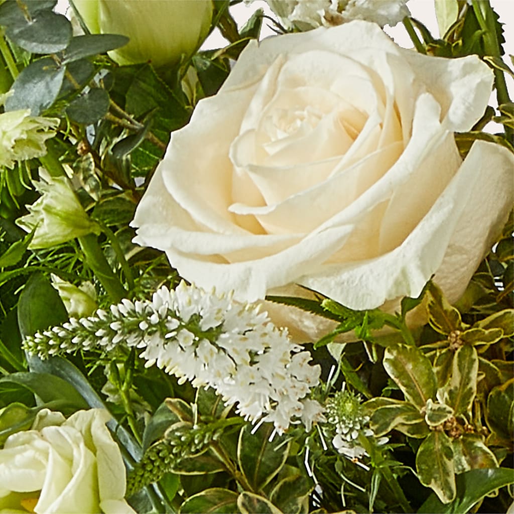 Cashmere Bouquet –  A Little Bit Of Love, Hanover PA