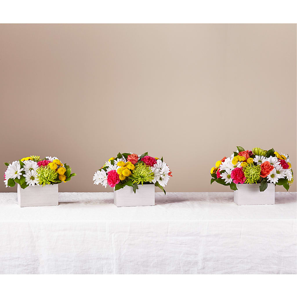 Sorbet Bouquet –  A Little Bit Of Love, Hanover PA