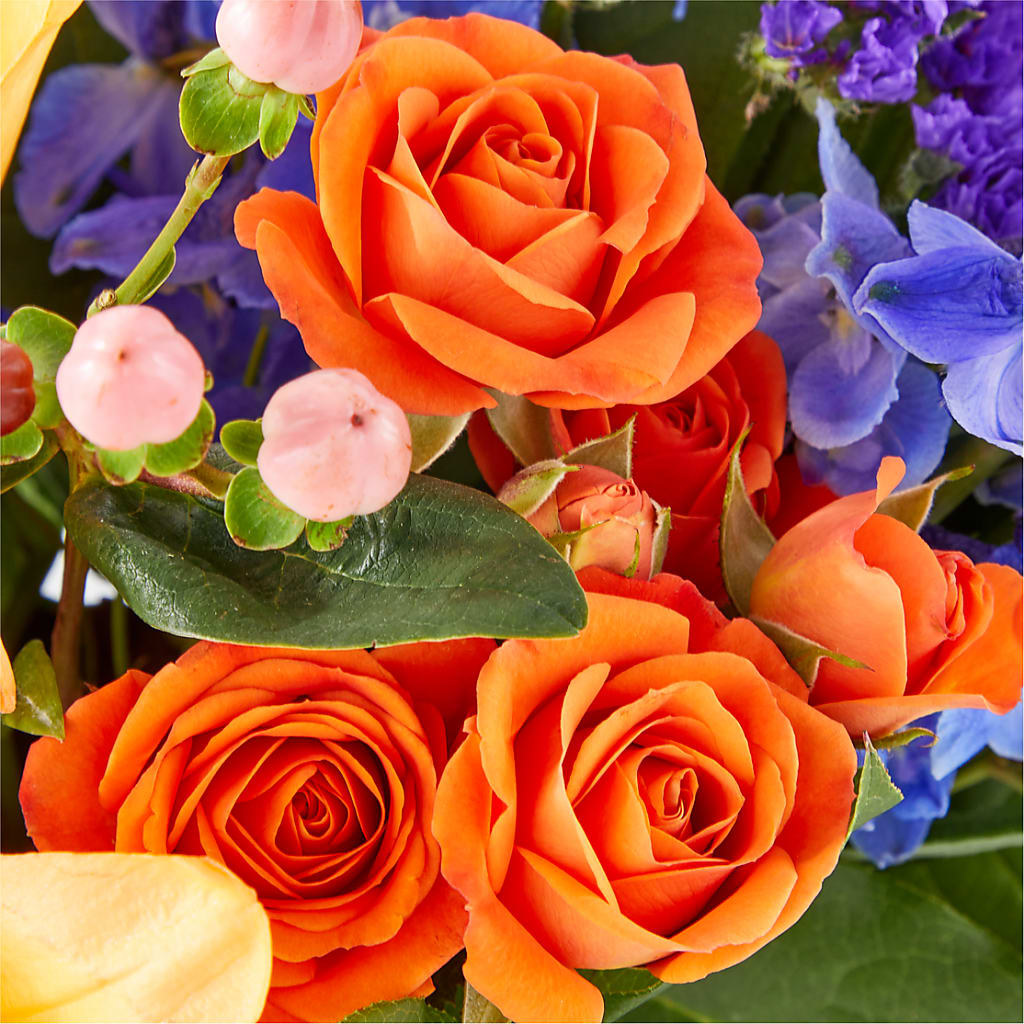 Radiant Citrus Box Bouquet –  A Little Bit Of Love, Hanover PA