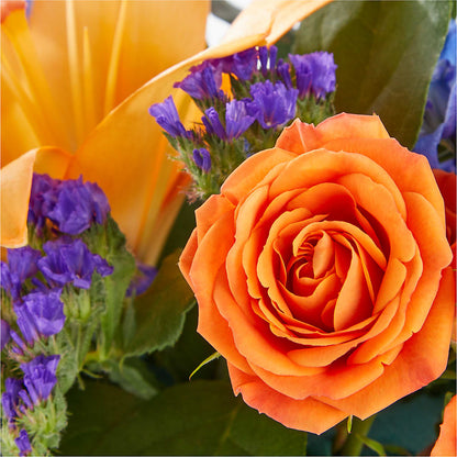 Radiant Citrus Box Bouquet –  A Little Bit Of Love, Hanover PA