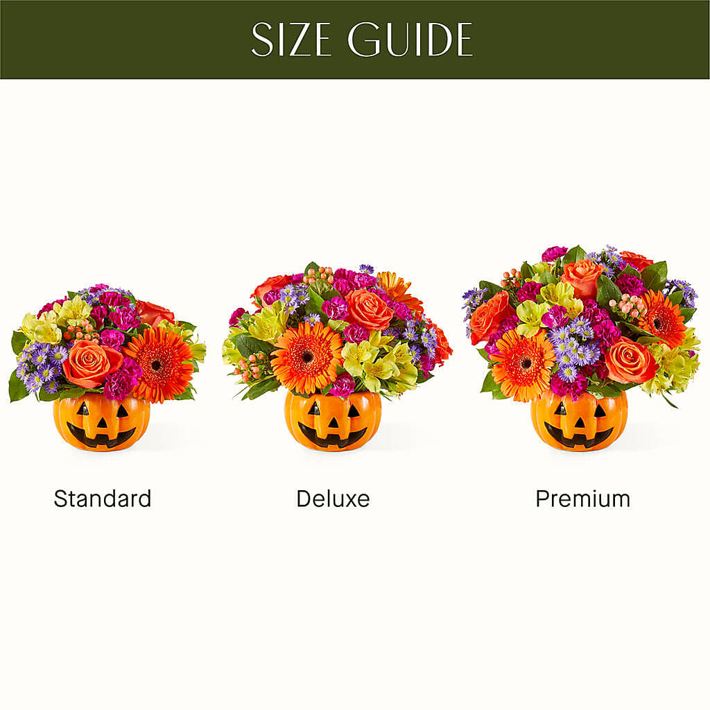 Tricks & Treats Pumpkin –  A Little Bit Of Love, Hanover PA