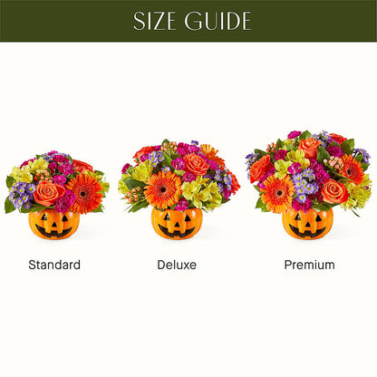 Tricks & Treats Pumpkin –  A Little Bit Of Love, Hanover PA