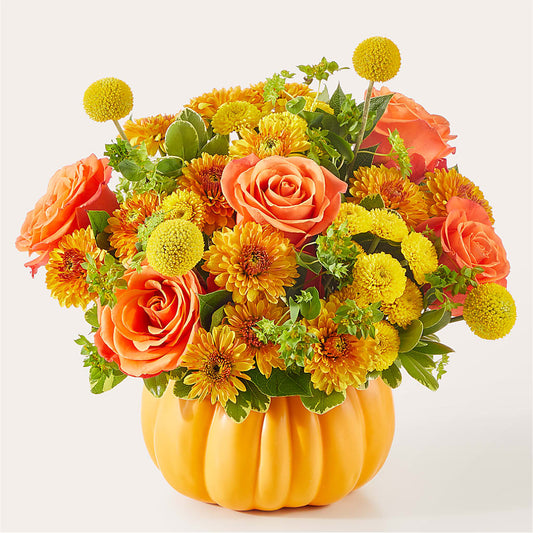 Gourdgeous Pumpkin –  A Little Bit Of Love, Hanover PA