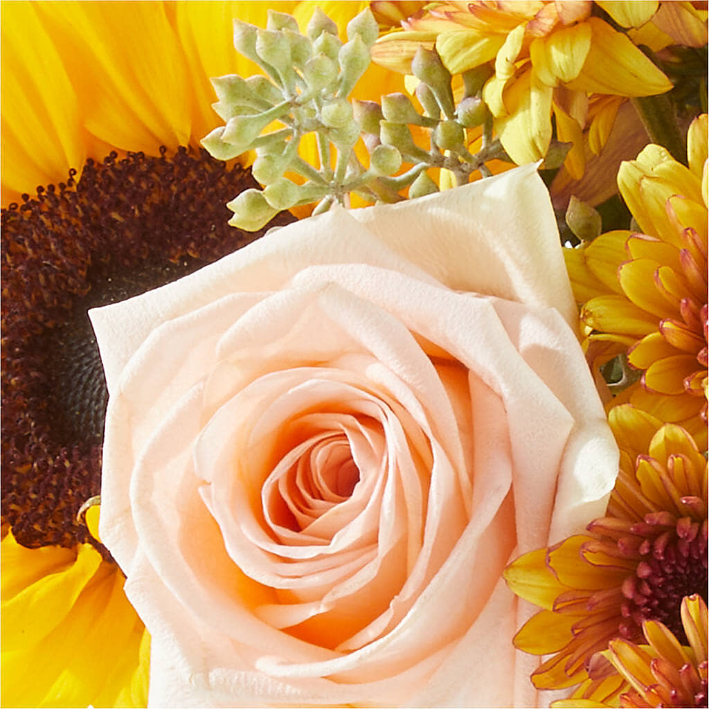 Pumpkin to Talk About Bouquet –  A Little Bit Of Love, Hanover PA