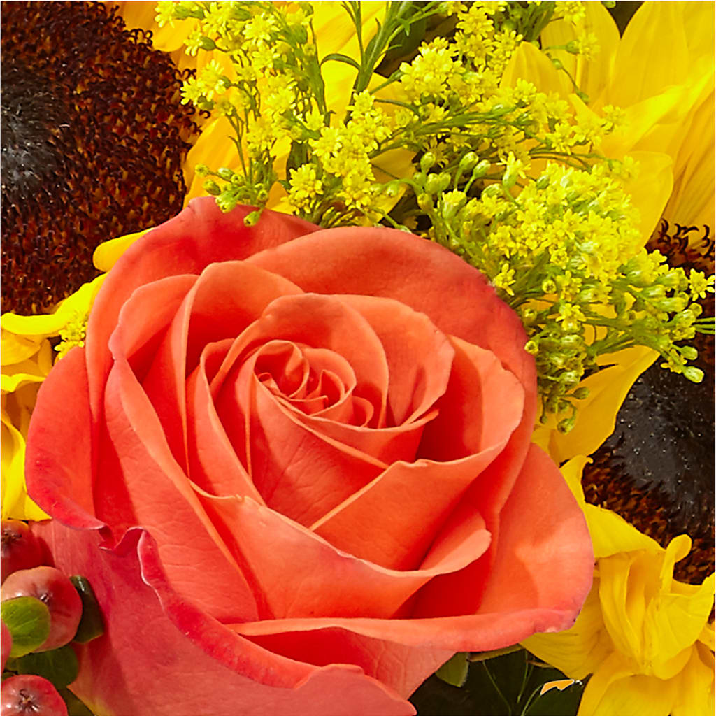 Pick of the Patch Pumpkin Bouquet –  A Little Bit Of Love, Hanover PA