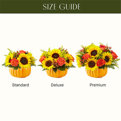 Pick of the Patch Pumpkin Bouquet –  A Little Bit Of Love, Hanover PA