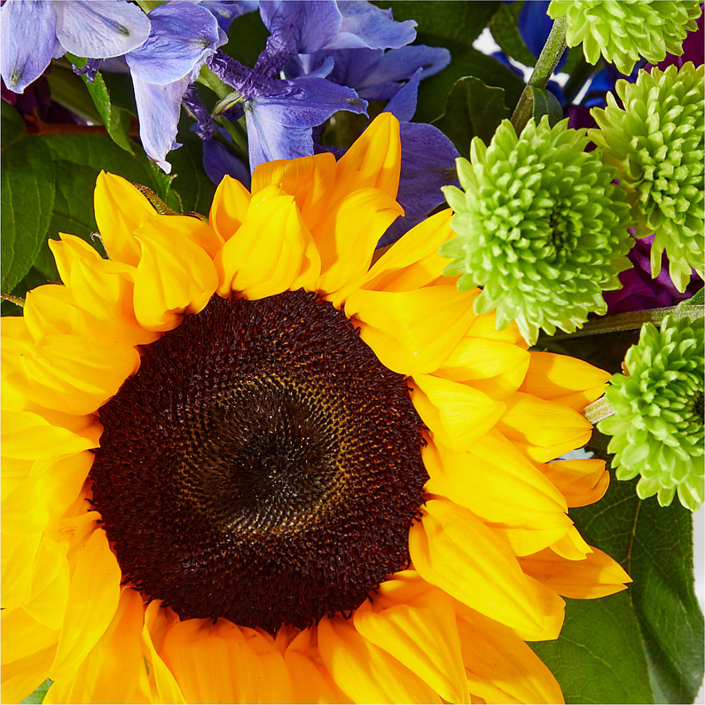 Catching Rays Bouquet –  A Little Bit Of Love, Hanover PA