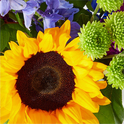 Catching Rays Bouquet –  A Little Bit Of Love, Hanover PA
