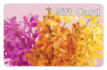 Gift Card –  A Little Bit Of Love, Hanover PA