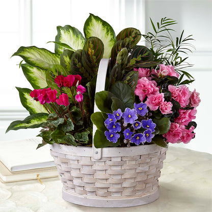 Peaceful Garden Planter –  A Little Bit Of Love, Hanover PA