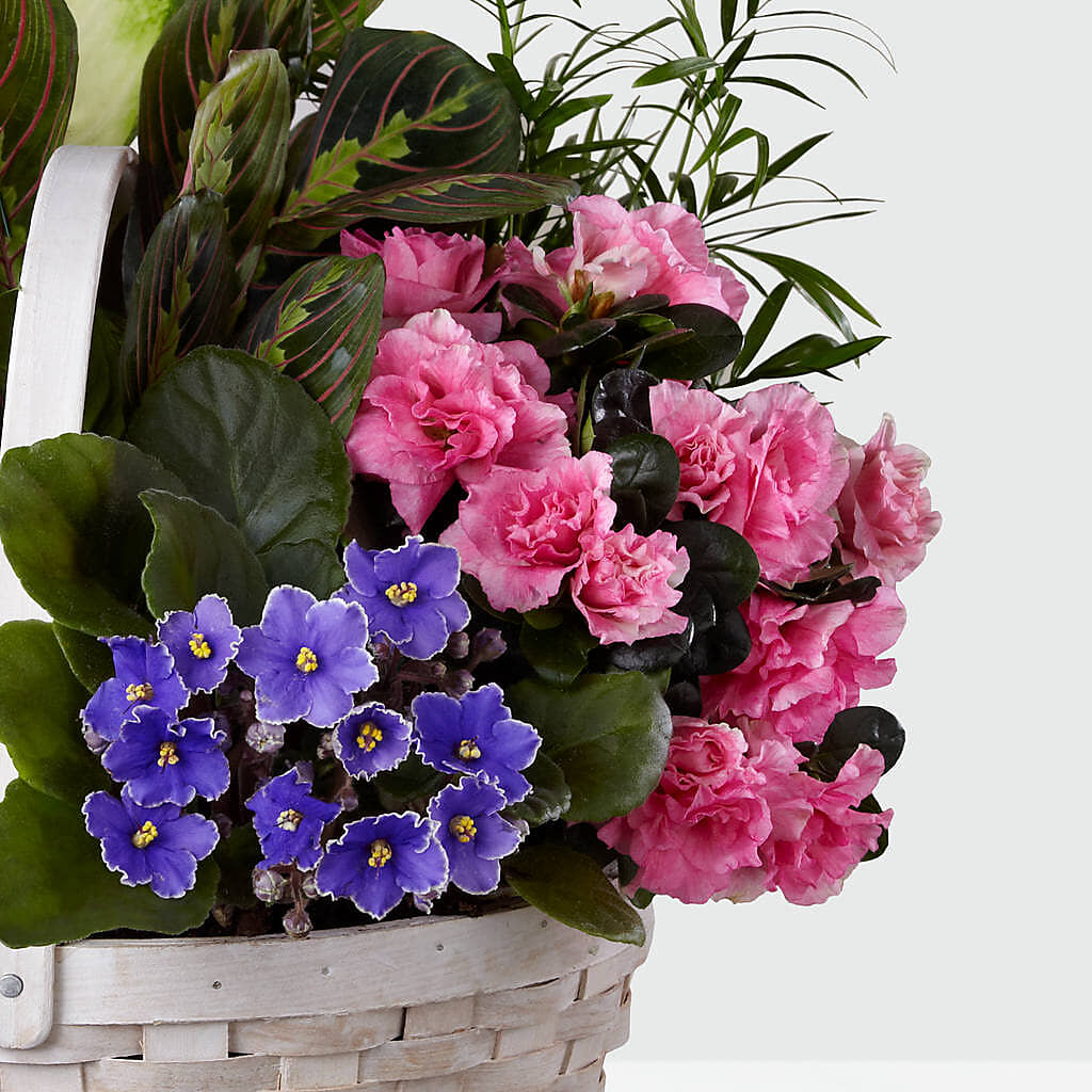 Peaceful Garden Planter –  A Little Bit Of Love, Hanover PA