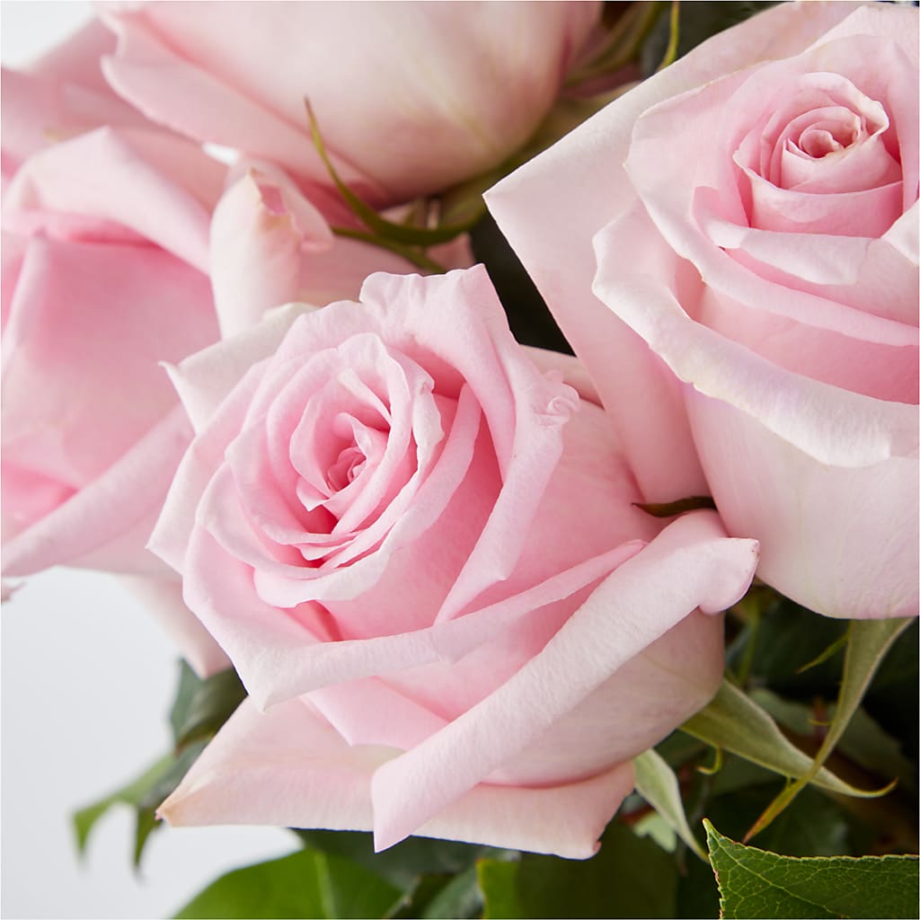 Picture Perfect Pink Rose Bouquet –  A Little Bit Of Love, Hanover PA