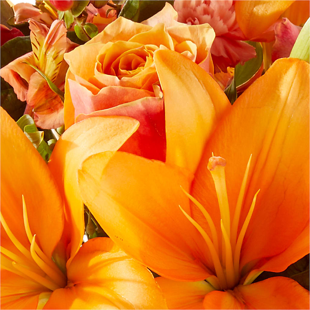 Afternoon Light Bouquet –  A Little Bit Of Love, Hanover PA