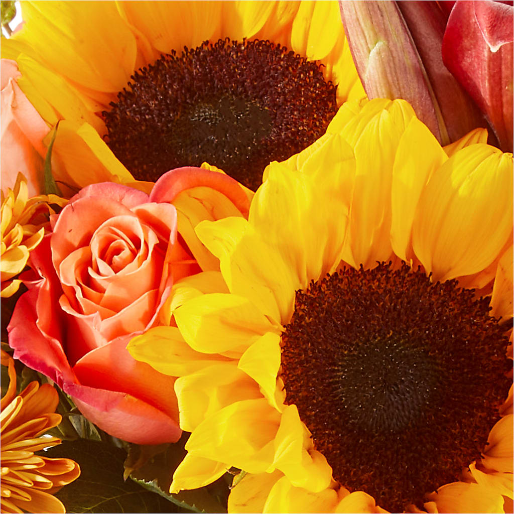 Acorn Lane Bouquet –  A Little Bit Of Love, Hanover PA