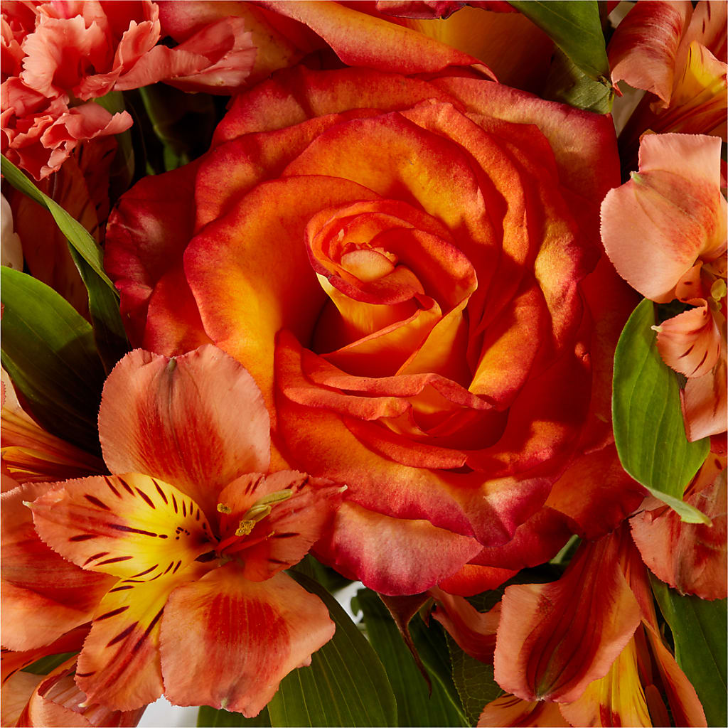 Apricot Glow Bouquet –  A Little Bit Of Love, Hanover PA