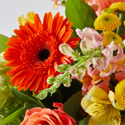 Autumn Sunshine Bouquet –  A Little Bit Of Love, Hanover PA