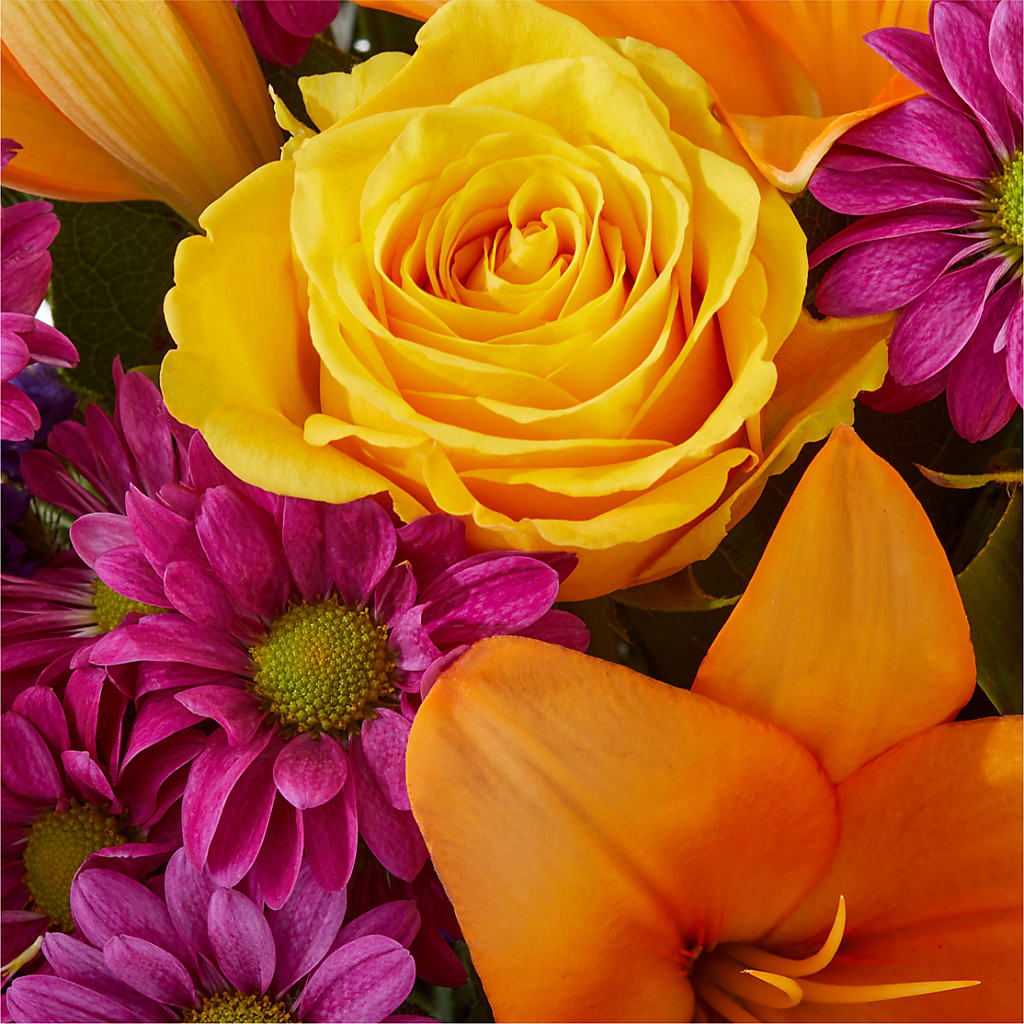 Colorful Visions Bouquet –  A Little Bit Of Love, Hanover PA