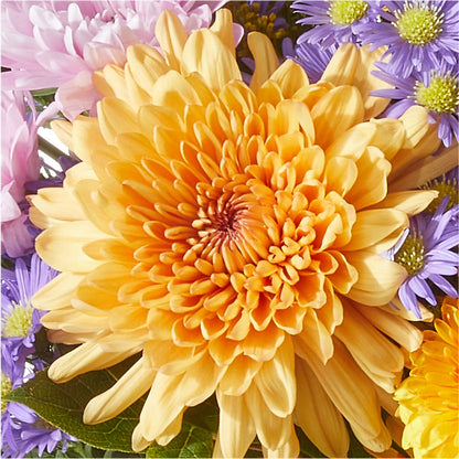 Countryside Bouquet –  A Little Bit Of Love, Hanover PA