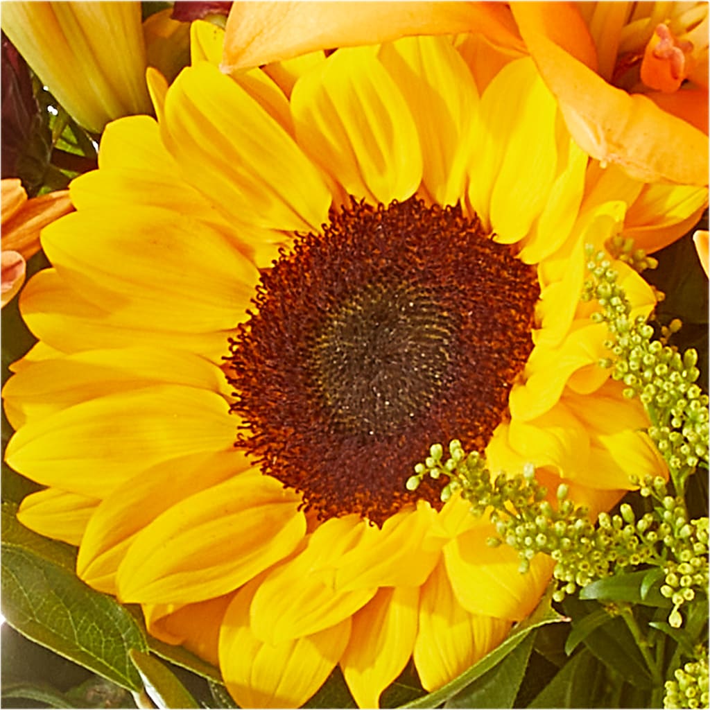 Seasons Change Bouquet –  A Little Bit Of Love, Hanover PA