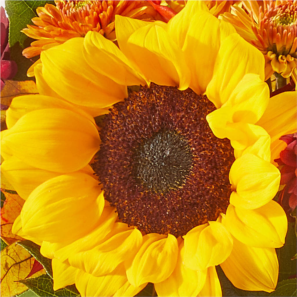 Sunny Side Bouquet –  A Little Bit Of Love, Hanover PA
