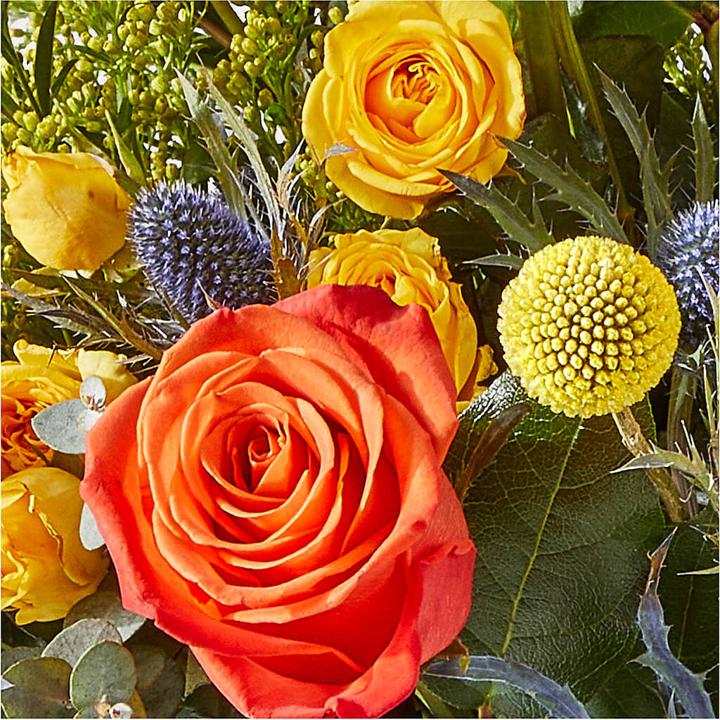 Disco Bouquet –  A Little Bit Of Love, Hanover PA