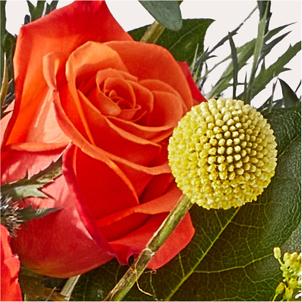 Disco Bouquet –  A Little Bit Of Love, Hanover PA