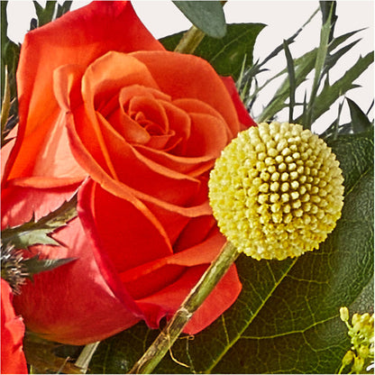 Disco Bouquet –  A Little Bit Of Love, Hanover PA