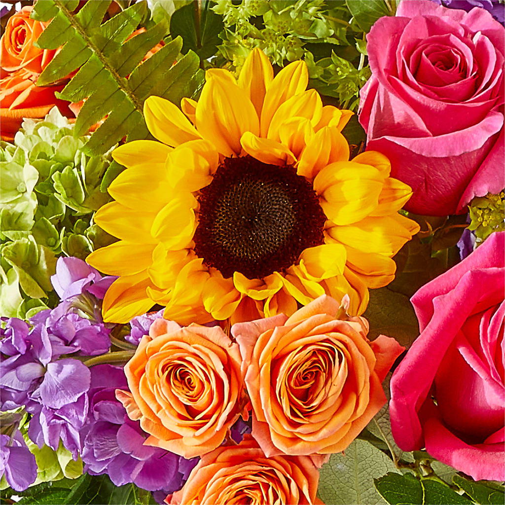 Vibrant Greetings Bouquet –  A Little Bit Of Love, Hanover PA