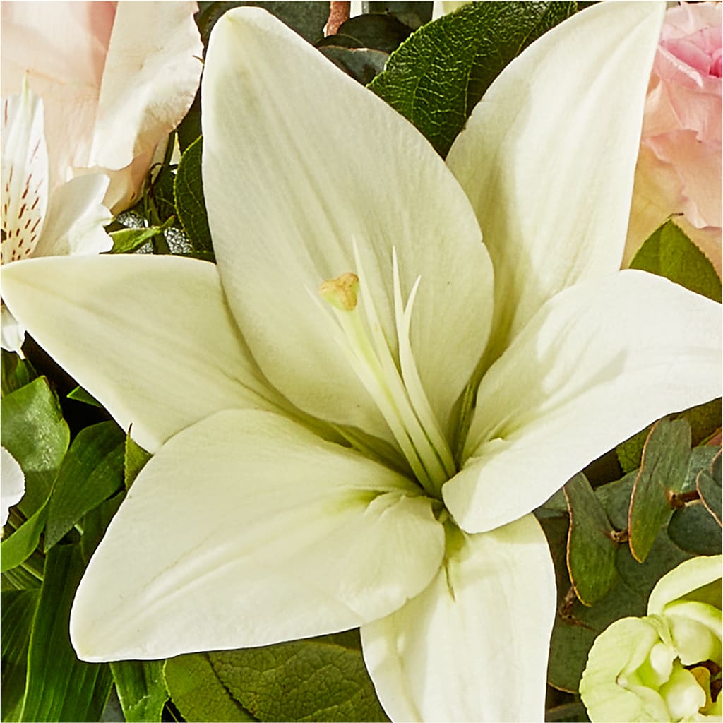 Ballet Slippers Bouquet –  A Little Bit Of Love, Hanover PA