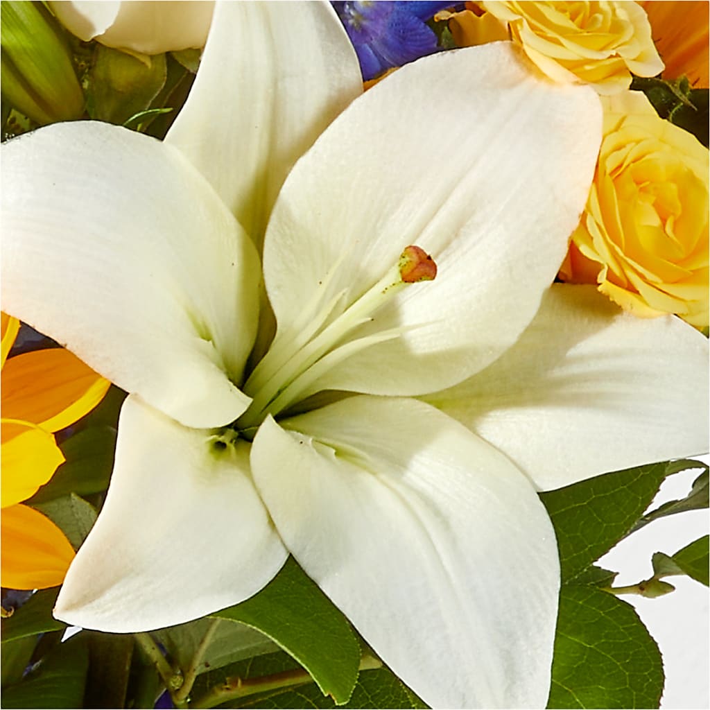 Wonderfully Sunny Bouquet –  A Little Bit Of Love, Hanover PA