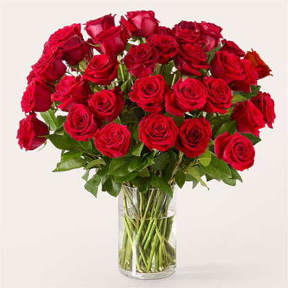 The One Red Rose Bouquet –  A Little Bit Of Love, Hanover PA