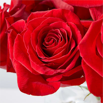 Cupid's Embrace Red Rose Bouquet –  A Little Bit Of Love, Hanover PA